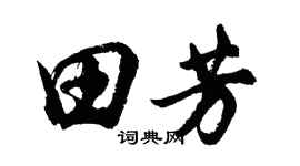胡问遂田芳行书个性签名怎么写