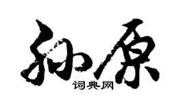 胡问遂孙原行书个性签名怎么写