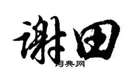 胡问遂谢田行书个性签名怎么写