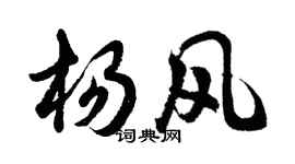 胡问遂杨风行书个性签名怎么写