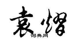 胡问遂袁熠行书个性签名怎么写