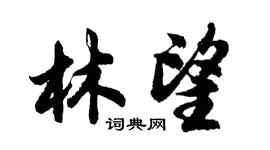 胡问遂林望行书个性签名怎么写
