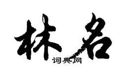 胡问遂林名行书个性签名怎么写