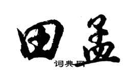 胡问遂田孟行书个性签名怎么写