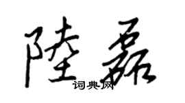王正良陆磊行书个性签名怎么写