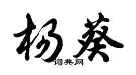 胡问遂杨葵行书个性签名怎么写