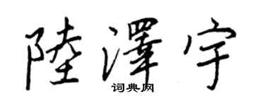 王正良陆泽宇行书个性签名怎么写