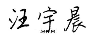 王正良汪宇晨行书个性签名怎么写