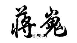 胡问遂蒋嵬行书个性签名怎么写