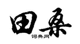 胡问遂田桑行书个性签名怎么写