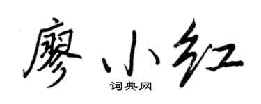 王正良廖小红行书个性签名怎么写