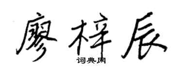 王正良廖梓辰行书个性签名怎么写