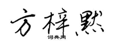 王正良方梓默行书个性签名怎么写