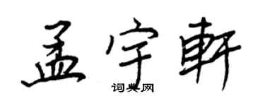 王正良孟宇轩行书个性签名怎么写