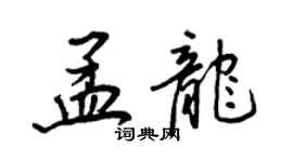 王正良孟龙行书个性签名怎么写