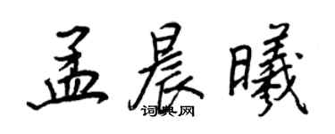 王正良孟晨曦行书个性签名怎么写