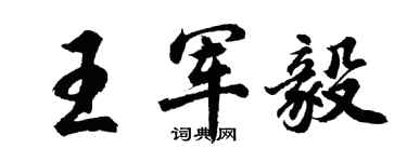 胡问遂王军毅行书个性签名怎么写