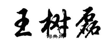 胡问遂王树磊行书个性签名怎么写