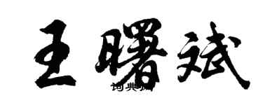 胡问遂王曙斌行书个性签名怎么写