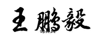 胡问遂王鹏毅行书个性签名怎么写