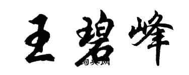 胡问遂王碧峰行书个性签名怎么写