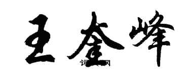 胡问遂王奎峰行书个性签名怎么写