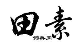 胡问遂田素行书个性签名怎么写