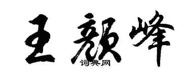 胡问遂王颜峰行书个性签名怎么写