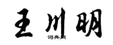 胡问遂王川明行书个性签名怎么写