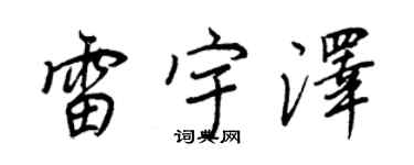 王正良雷宇泽行书个性签名怎么写