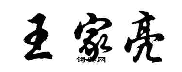 胡问遂王家亮行书个性签名怎么写