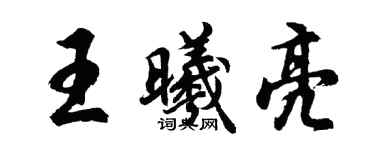 胡问遂王曦亮行书个性签名怎么写