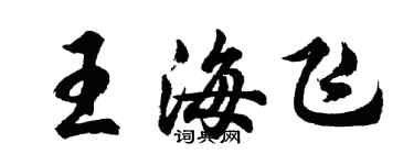 胡问遂王海飞行书个性签名怎么写