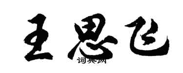 胡问遂王思飞行书个性签名怎么写