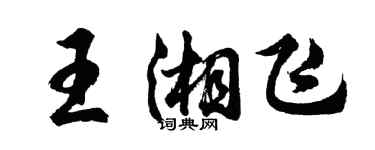 胡问遂王湘飞行书个性签名怎么写
