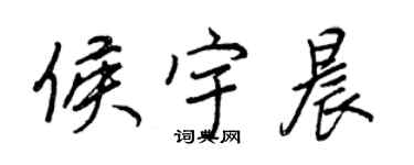 王正良侯宇晨行书个性签名怎么写
