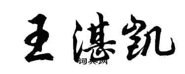 胡问遂王湛凯行书个性签名怎么写