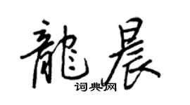 王正良龙晨行书个性签名怎么写