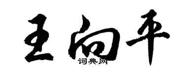胡问遂王向平行书个性签名怎么写