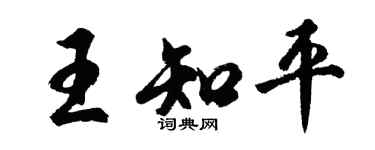胡问遂王知平行书个性签名怎么写