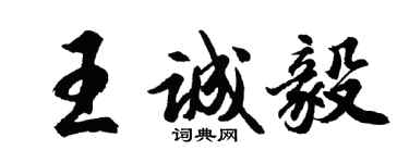 胡问遂王诚毅行书个性签名怎么写