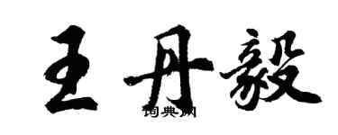 胡问遂王丹毅行书个性签名怎么写