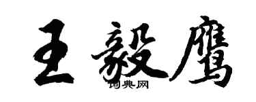 胡问遂王毅鹰行书个性签名怎么写