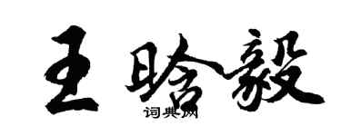 胡问遂王晗毅行书个性签名怎么写