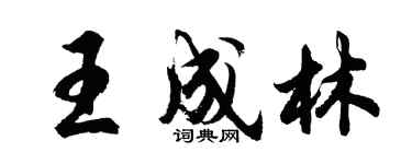 胡问遂王成林行书个性签名怎么写