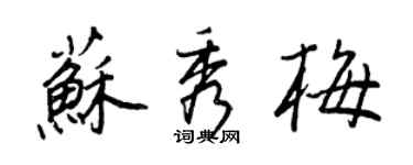 王正良苏秀梅行书个性签名怎么写