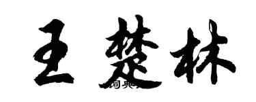 胡问遂王楚林行书个性签名怎么写