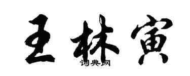 胡问遂王林寅行书个性签名怎么写