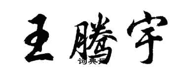 胡问遂王腾宇行书个性签名怎么写
