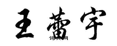 胡问遂王蕾宇行书个性签名怎么写